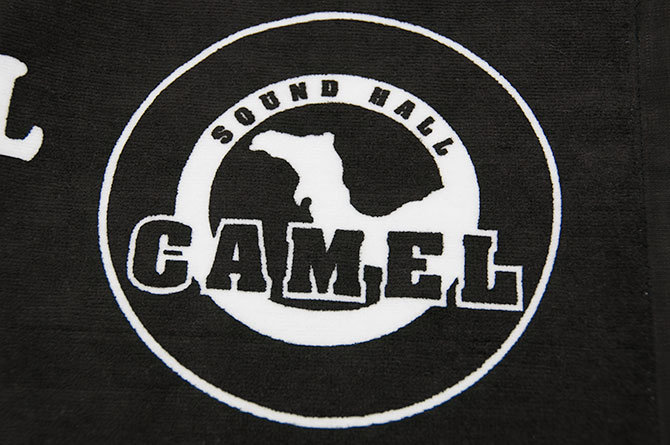 soundhall_camel05