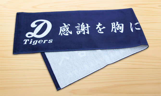 nigata_d_tigers06