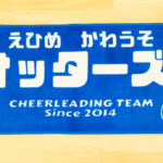 えひめ　かわうそ　オッターズ