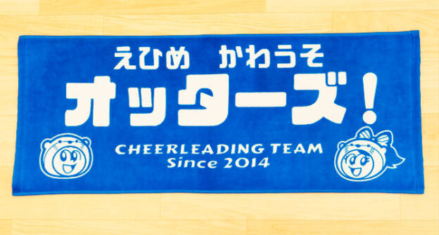 えひめ　かわうそ　オッターズ