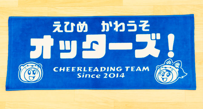 えひめ　かわうそ　オッターズ